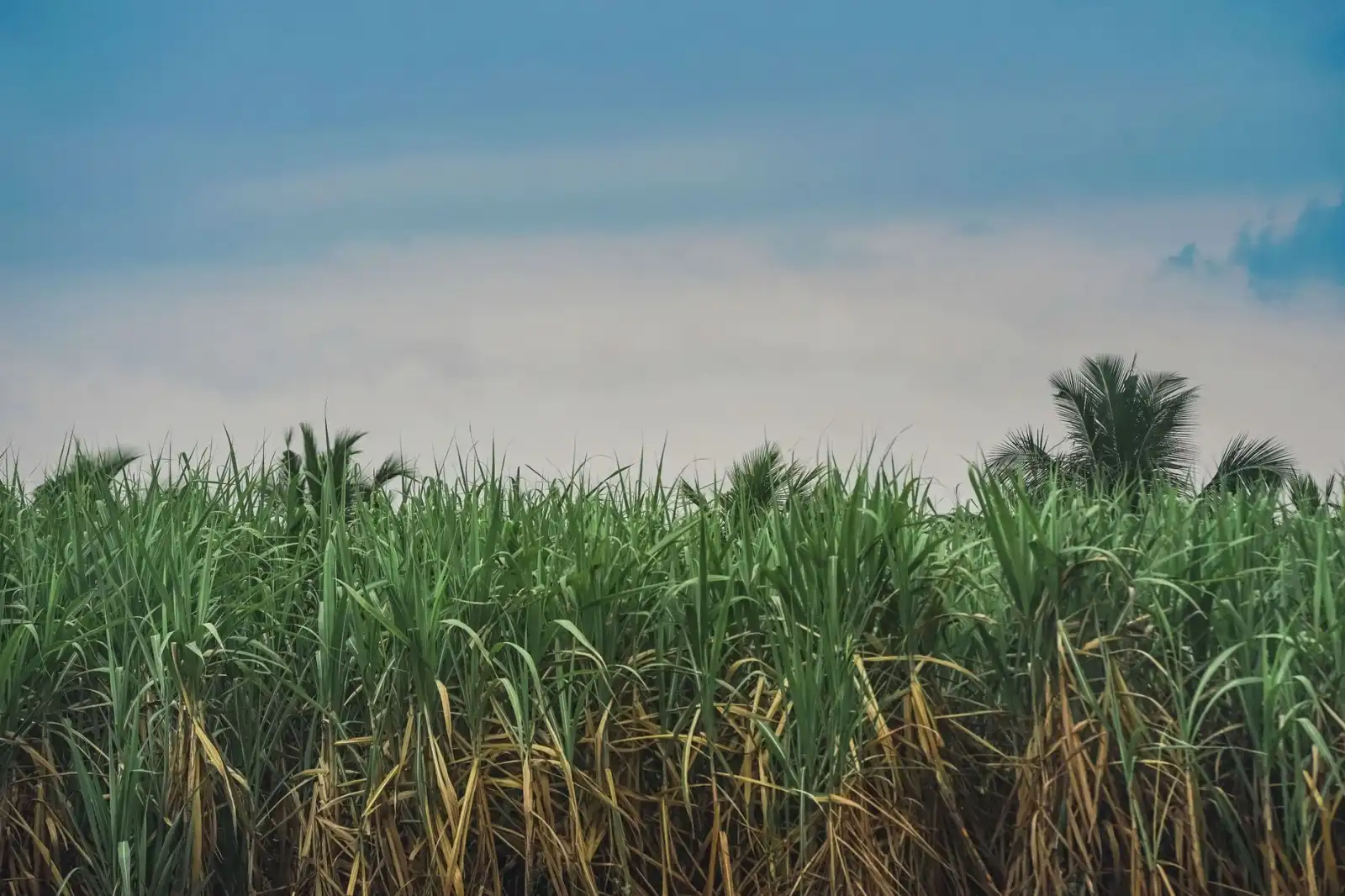 重庆电商仓配一体化服务中退换货处理的成本控制策略