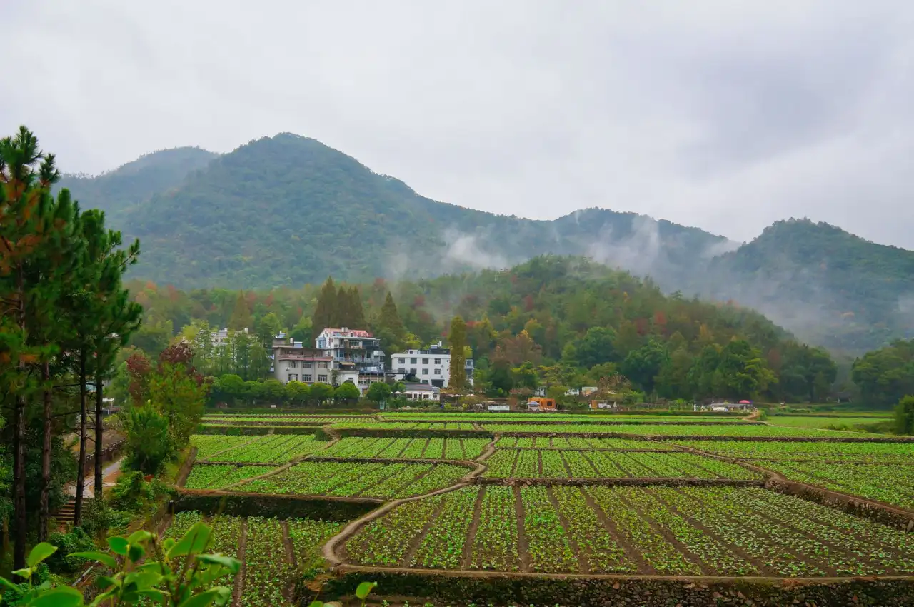 重庆电商仓配一体化服务全流程详解：从打包到退换货的时效优化