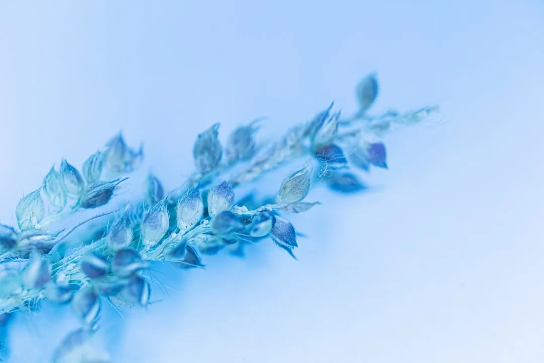 重庆电商仓配一体化服务升级：退换货处理流程优化新思路